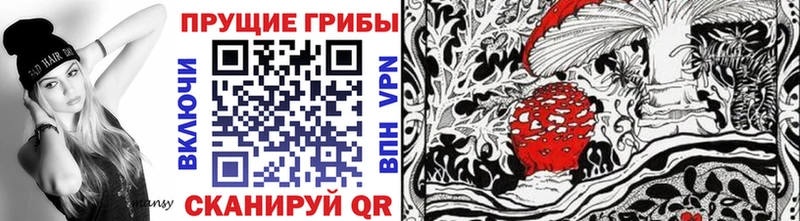 дарнет шоп  МЕГА ONION  Галлюциногенные грибы Psilocybe  Верхняя Салда 